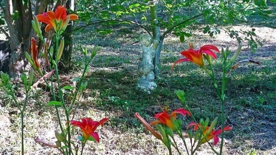 Nyugalomsziget Βίλα Kotcse Εξωτερικό φωτογραφία